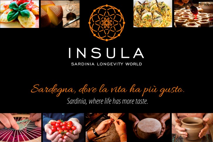 Проект Insula