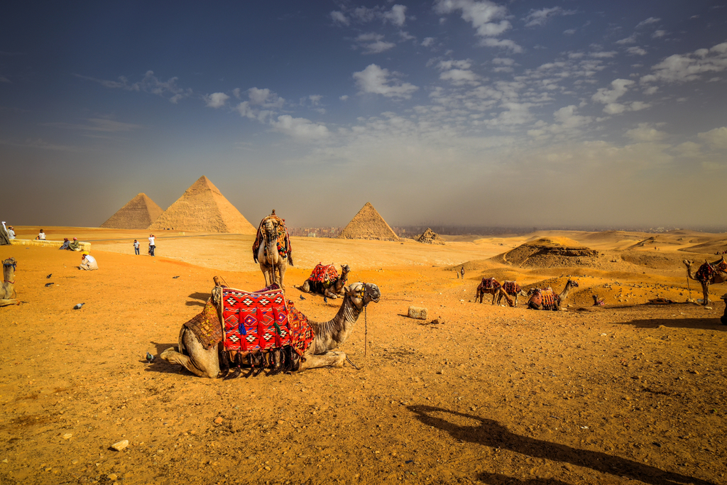 Египет, Гиза, прогулка на верблюдах