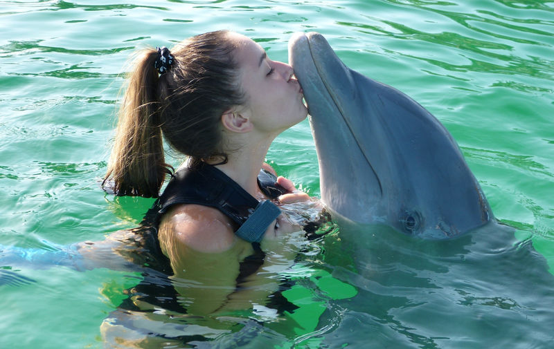 Дельфин и девушка
